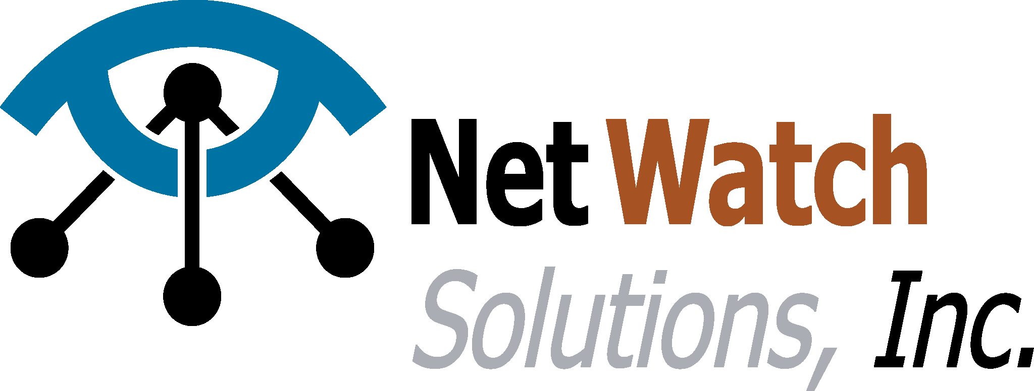 Netwatch Solutions Inc Home Page Netwatch Solutions Inc Home Page